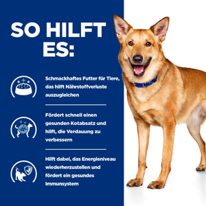 i/d Ragout für Hunde Wie es hilft