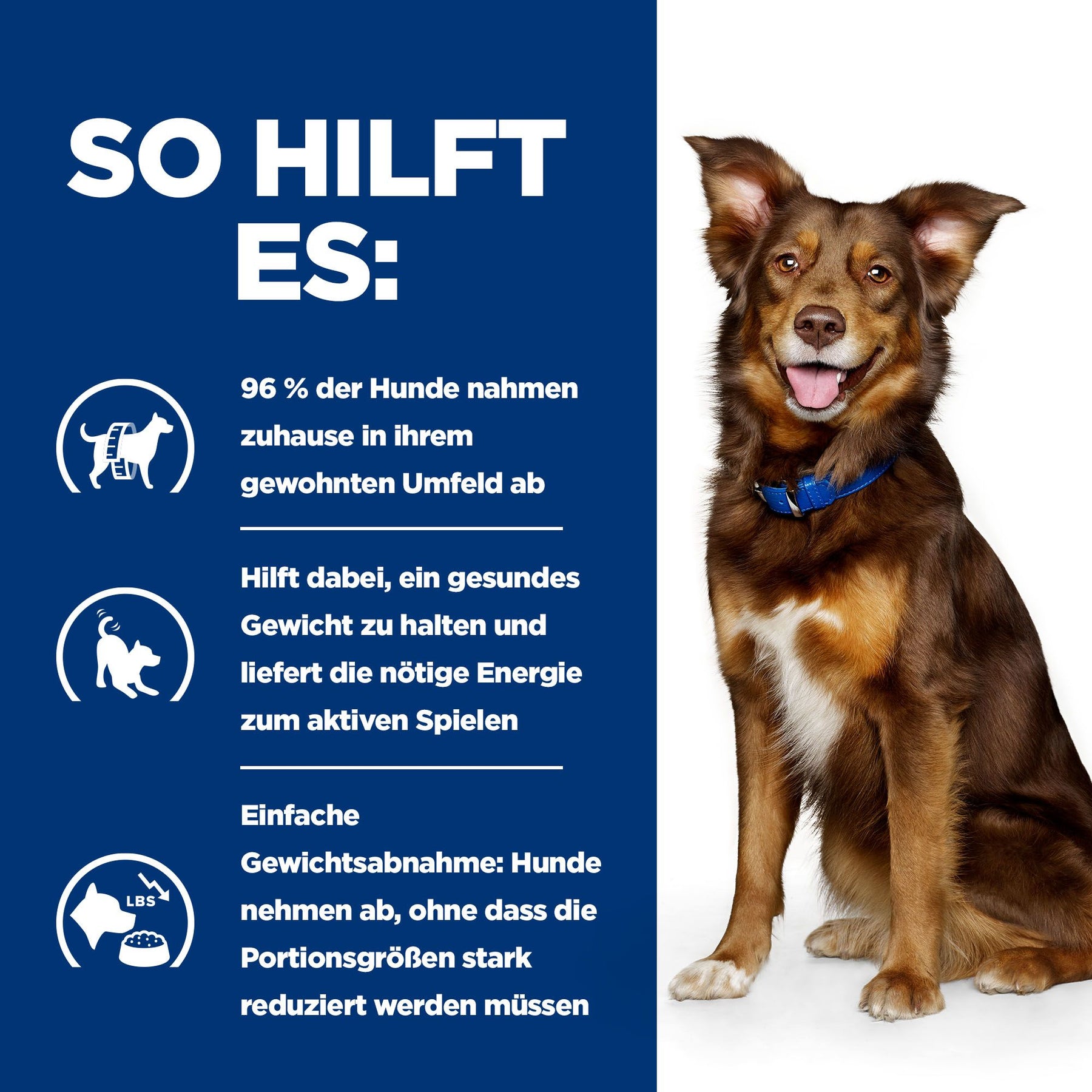 Metabolic Hunde Nassfutter mit Huhn Packshot