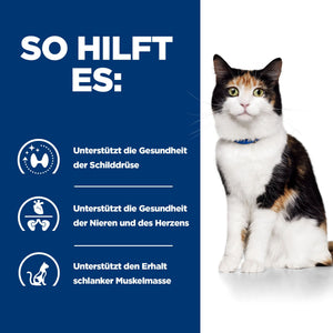 y/d Katzen Trockenfutter Original Wie es hilft