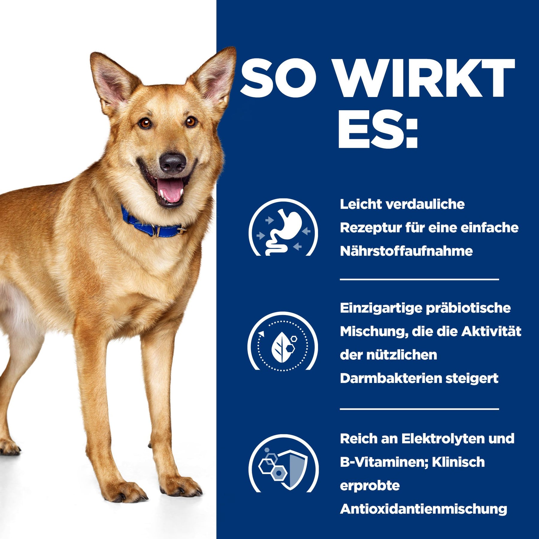 i/d Nassfutter für Hunde Truthahn Wie es wirkt