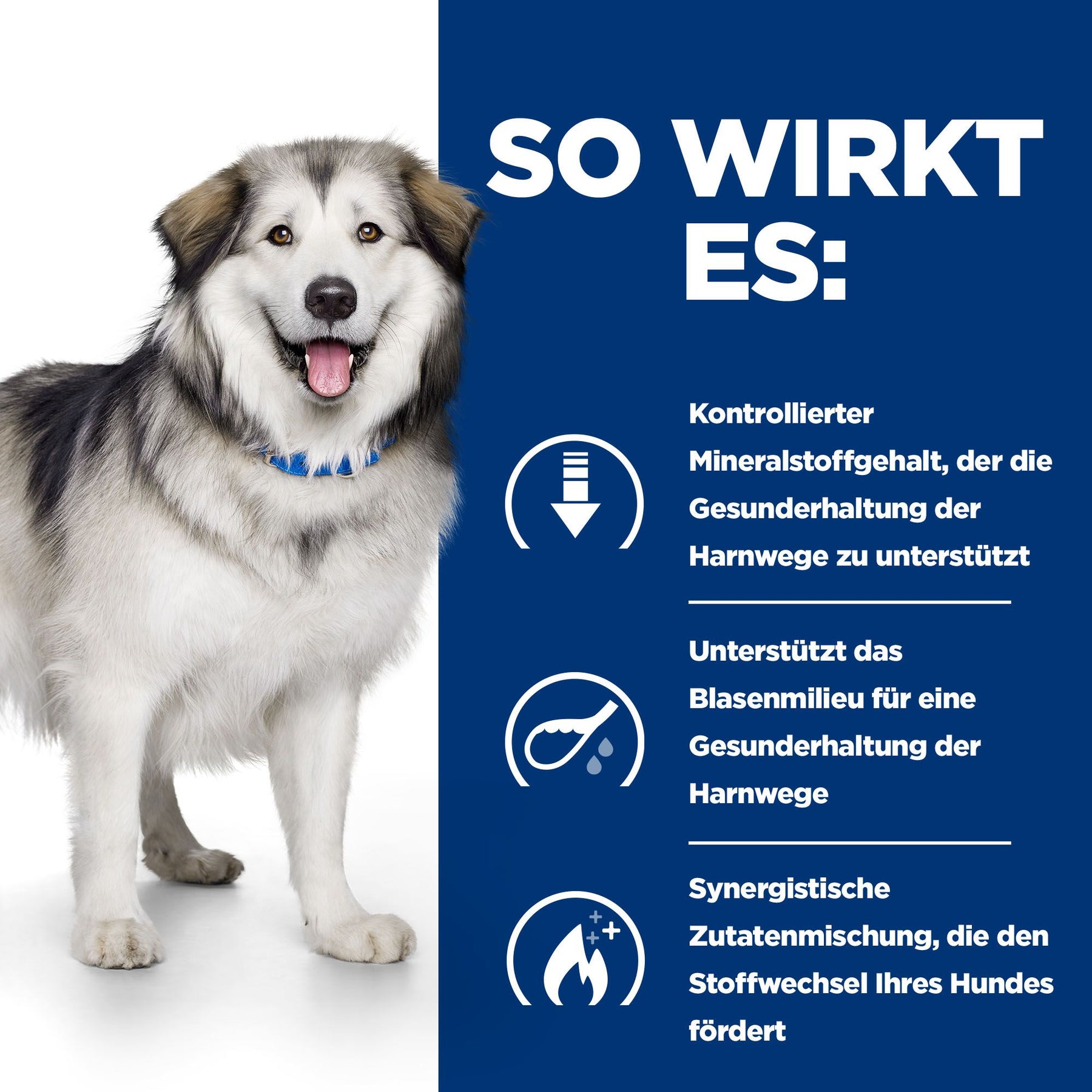 c/d Multicare+Metabolic Hundefutter Wie es wirkt