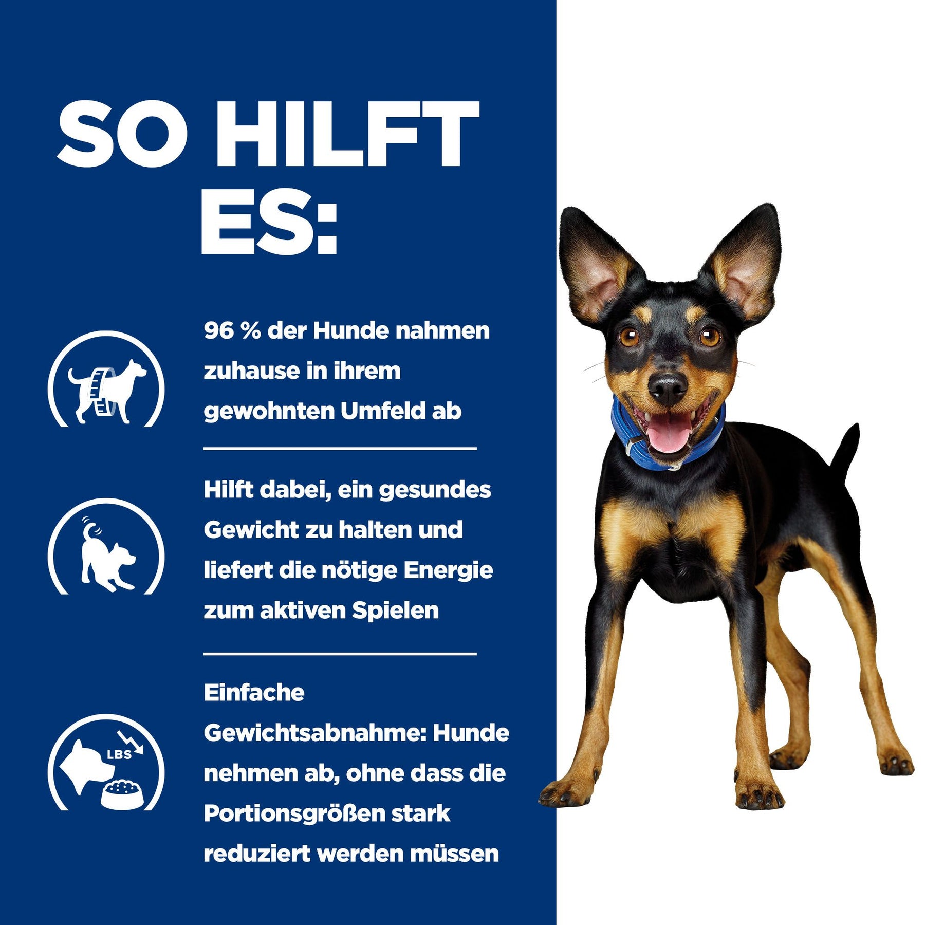 Metabolic Hunde Ragout Huhn & Gemüse Wie es hilft