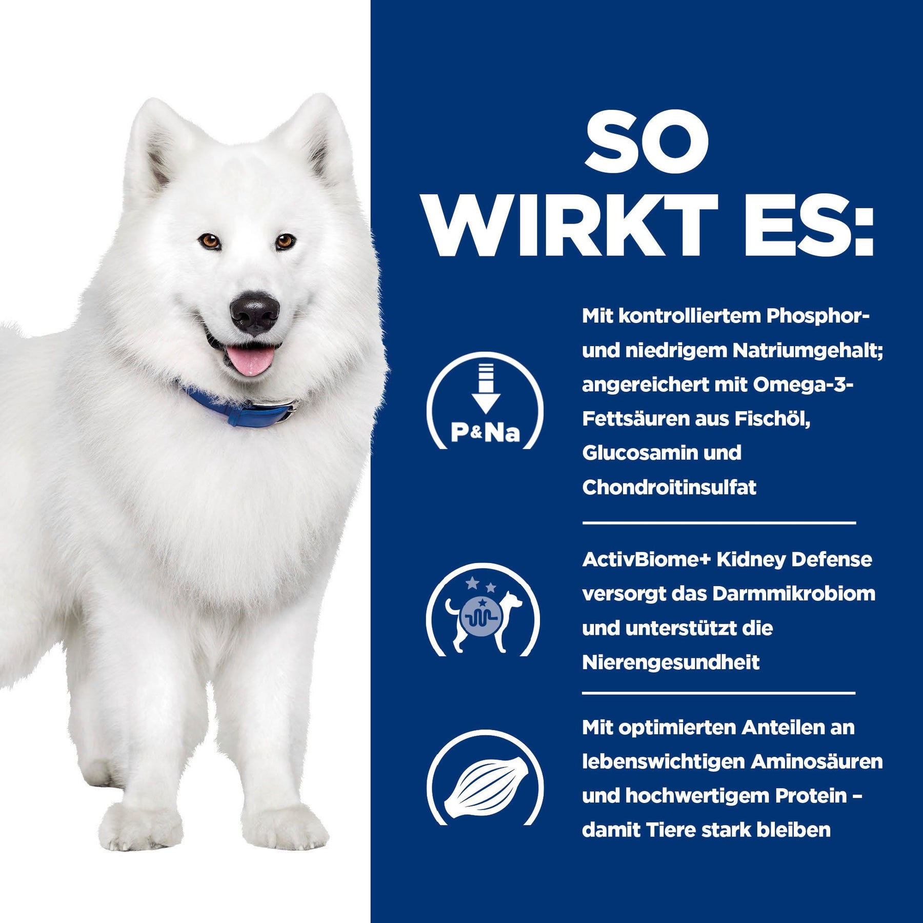 k/d + Mobility Hundefutter Original Wie es wirkt