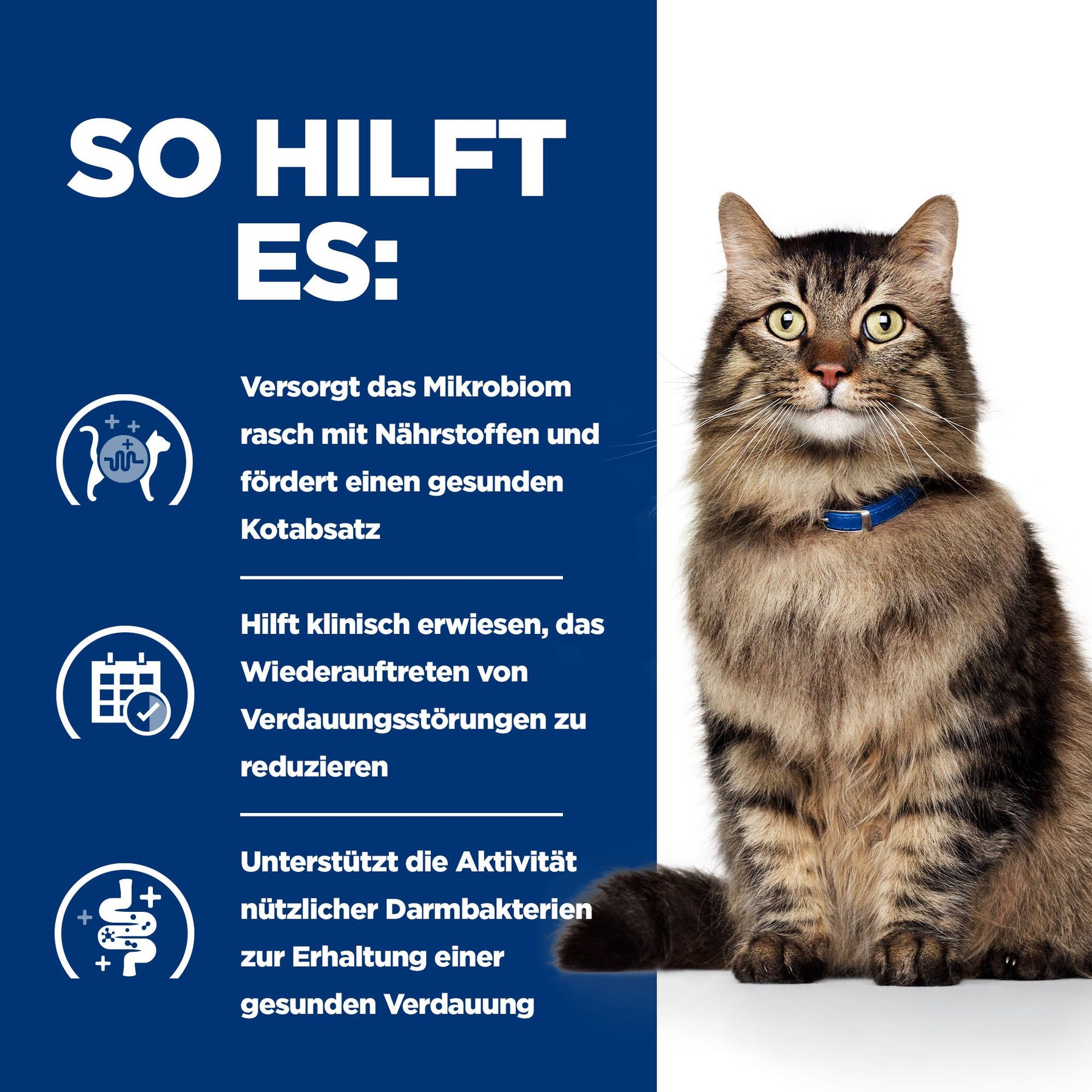 Gastrointestinal Biome Nassfutter für Katzen mit Huhn Wie es hilft