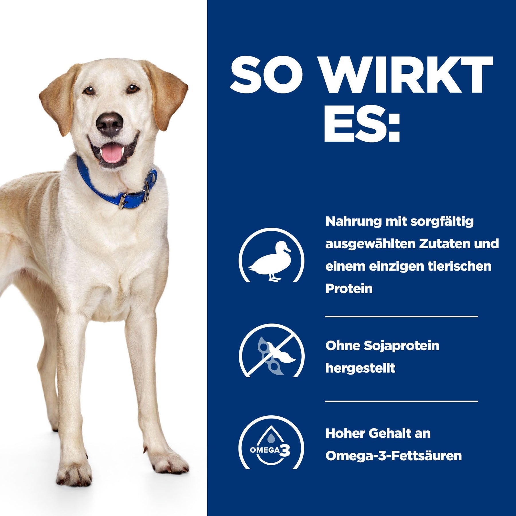d/d Hunde Trockenfutter Ente & Reis Wie es wirkt