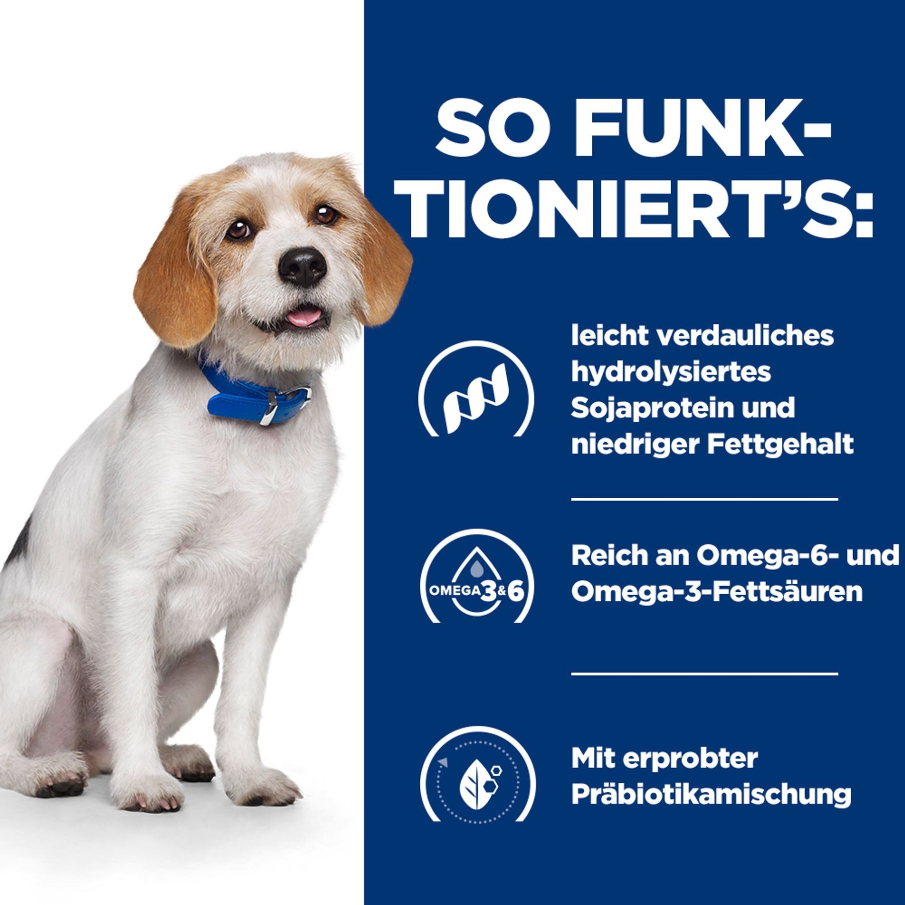 z/d Low Fat Hydrolysed Soy Wie es wirkt