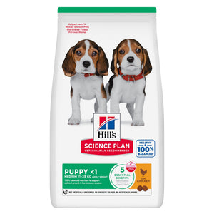 Medium Puppy Welpenfutter Packshot