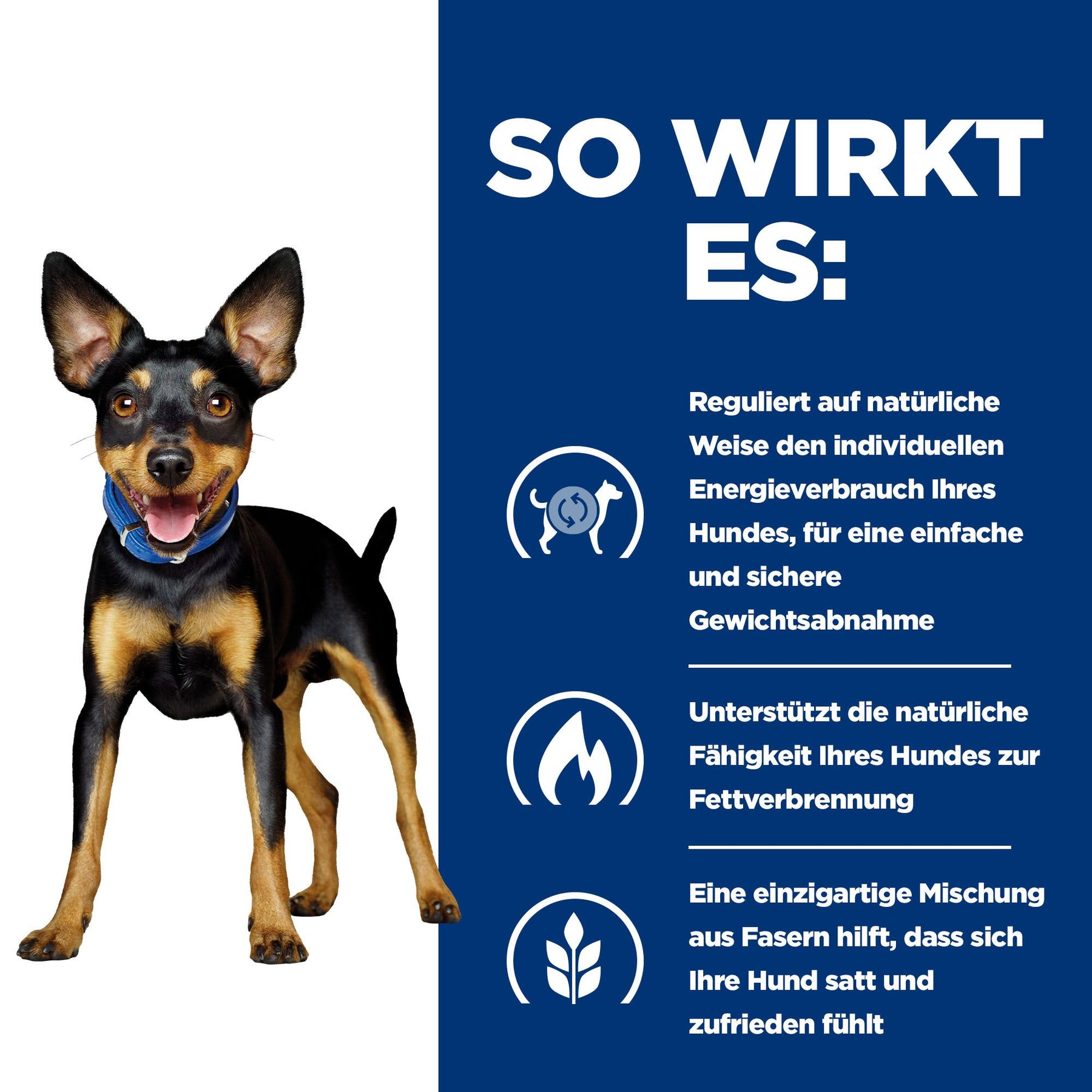 Metabolic Hunde Ragout Huhn & Gemüse Wie es wirkt