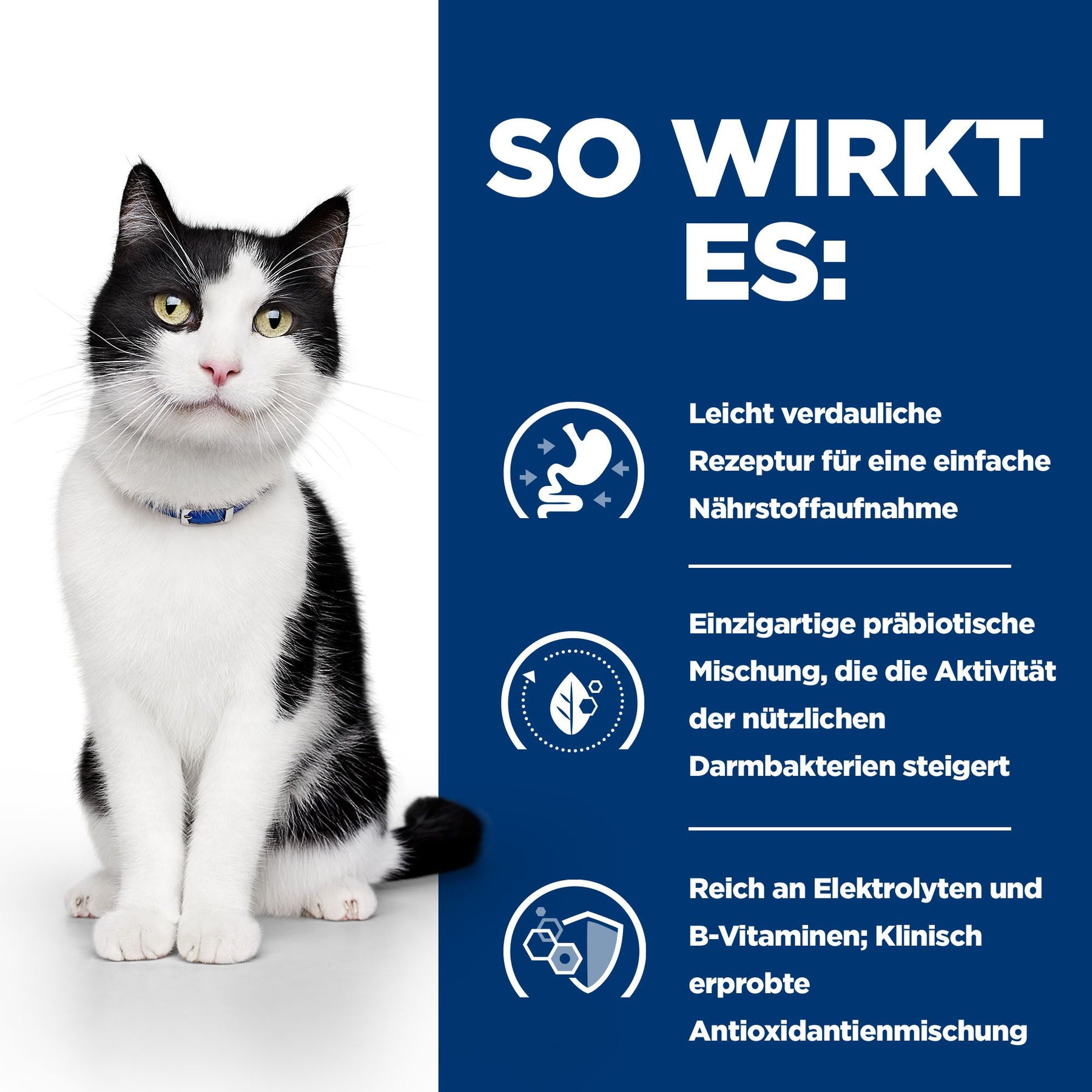i/d Katzenfutter Wie es wirkt