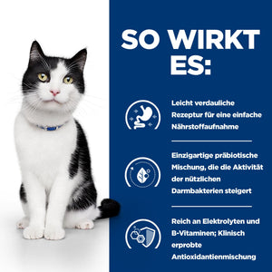 i/d Katzenfutter Wie es wirkt
