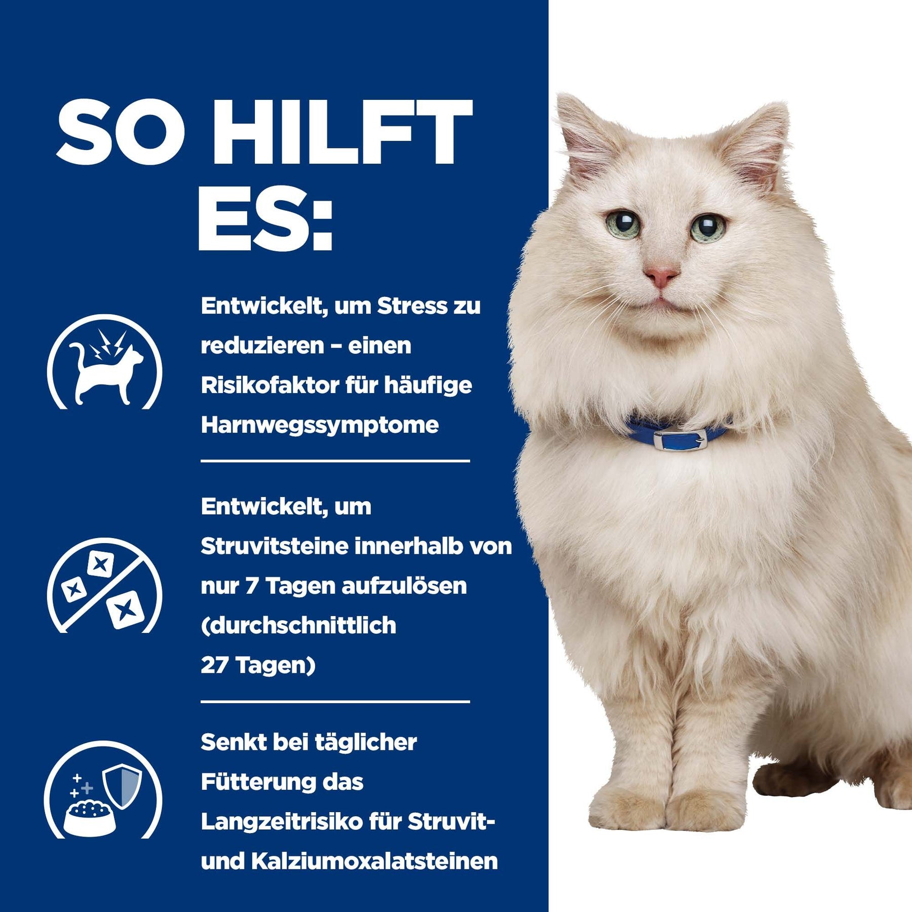 c/d Multicare Stress Katzenfutter Wie es hilft