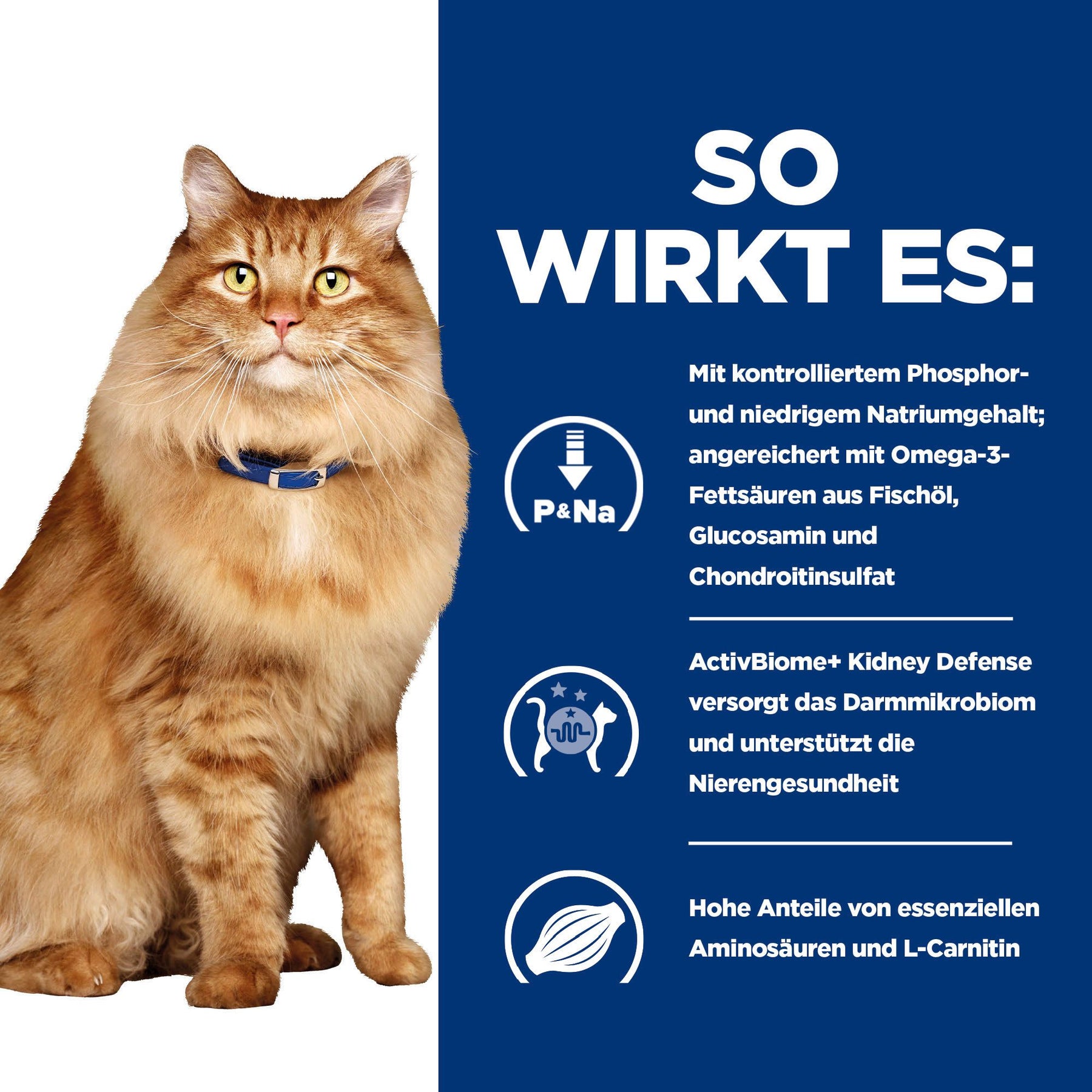 k/d + Mobility Nassfutter für Katzen Wie es wirkt