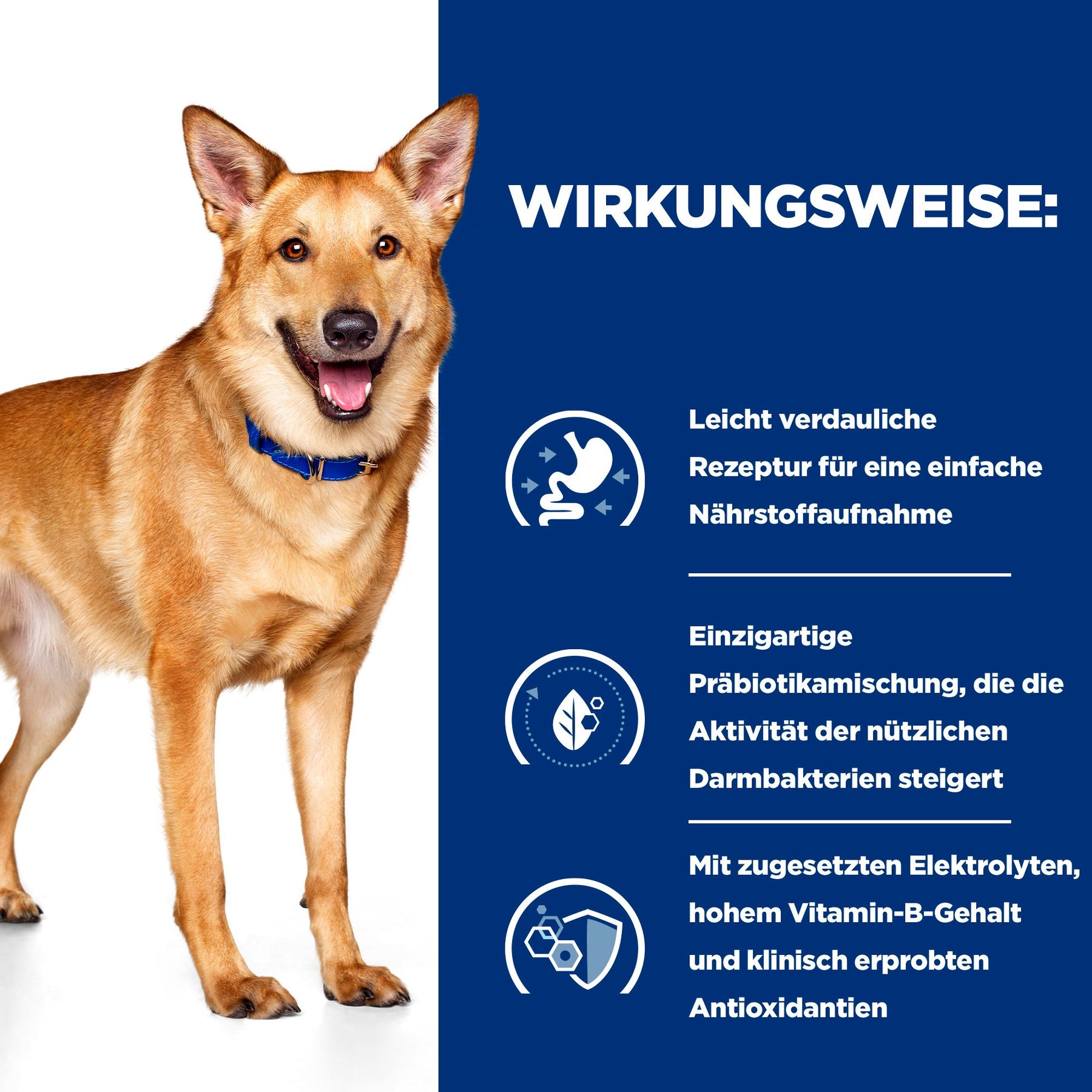i/d Ragout für Hunde Wie es wirkt