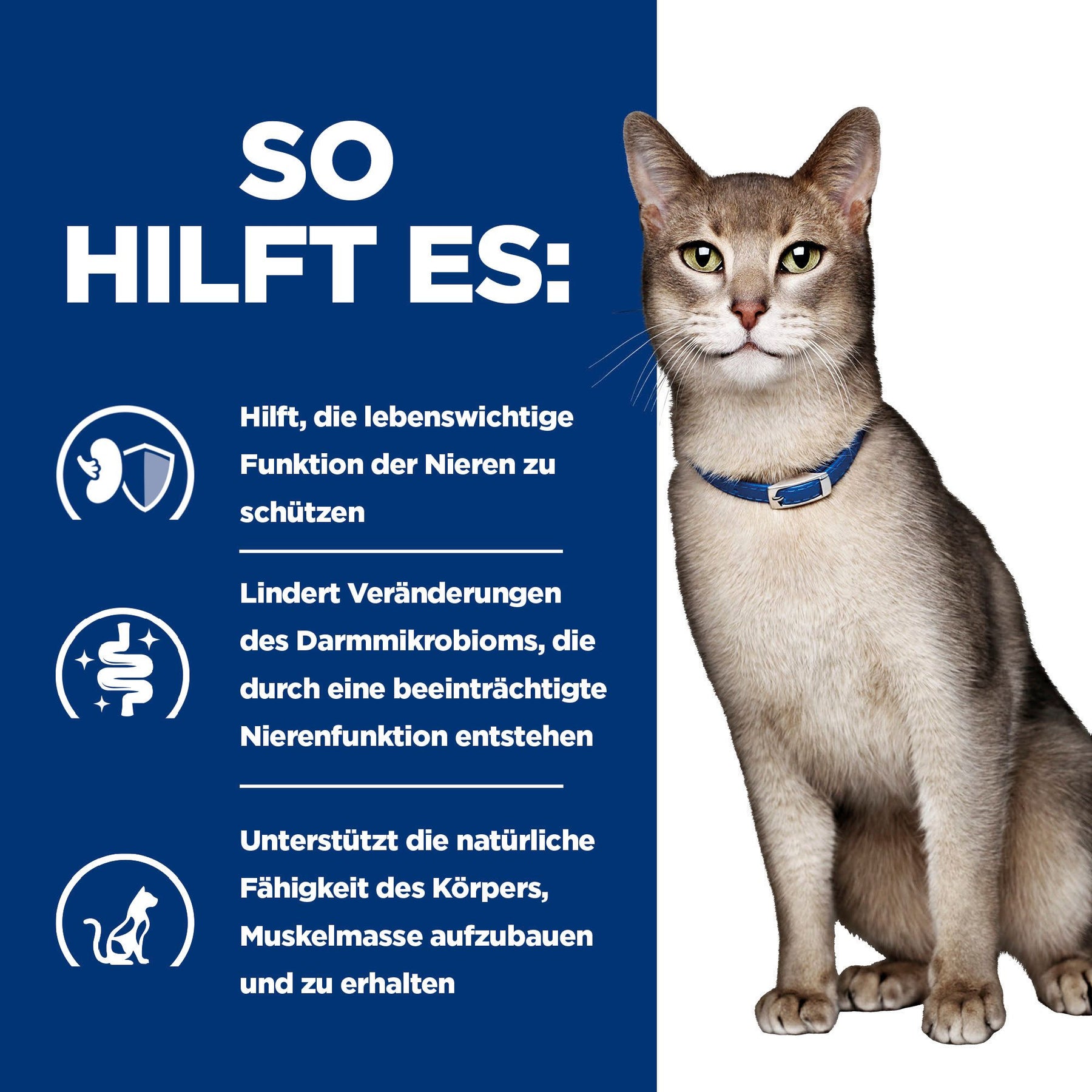 k/d Nassfutter für Katzen mit Rind Wie es hilft