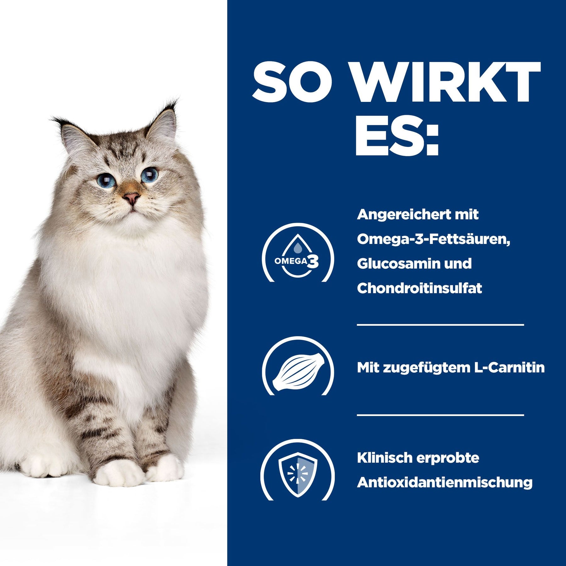 j/d Katzen Trockenfutter mit Huhn Wie es wirkt