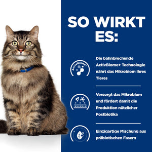 Gastrointestinal Biome Katzen Ragout Wie es wirkt