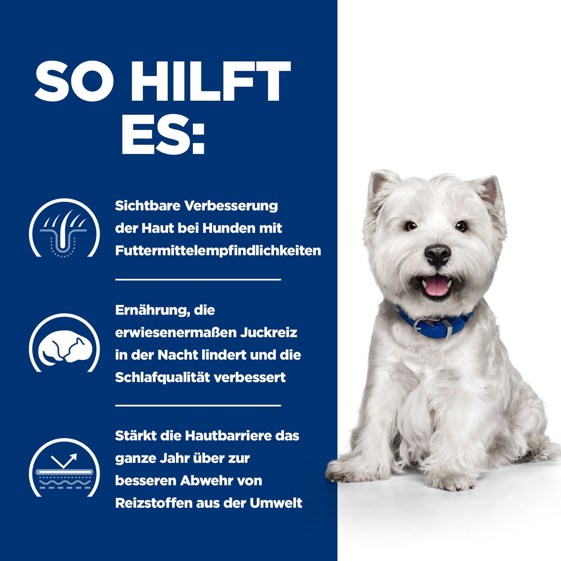 Derm Complete Mini Hundefutter Packshot