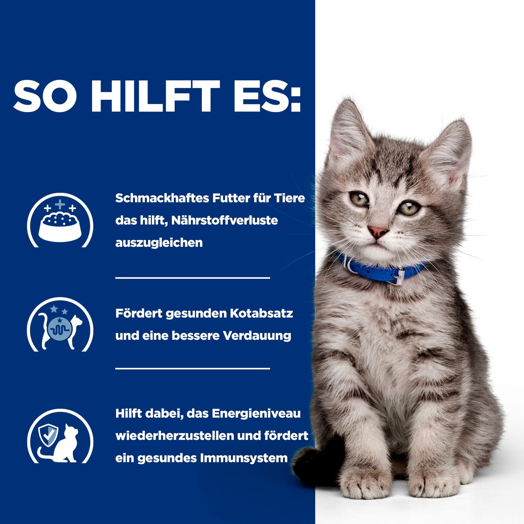i/d Kitten Kätzchenfutter How It Helps