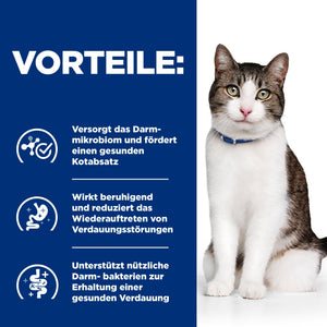 Gastrointestinal Biome Stress Katzenfutter mit Huhn Wie es hilft