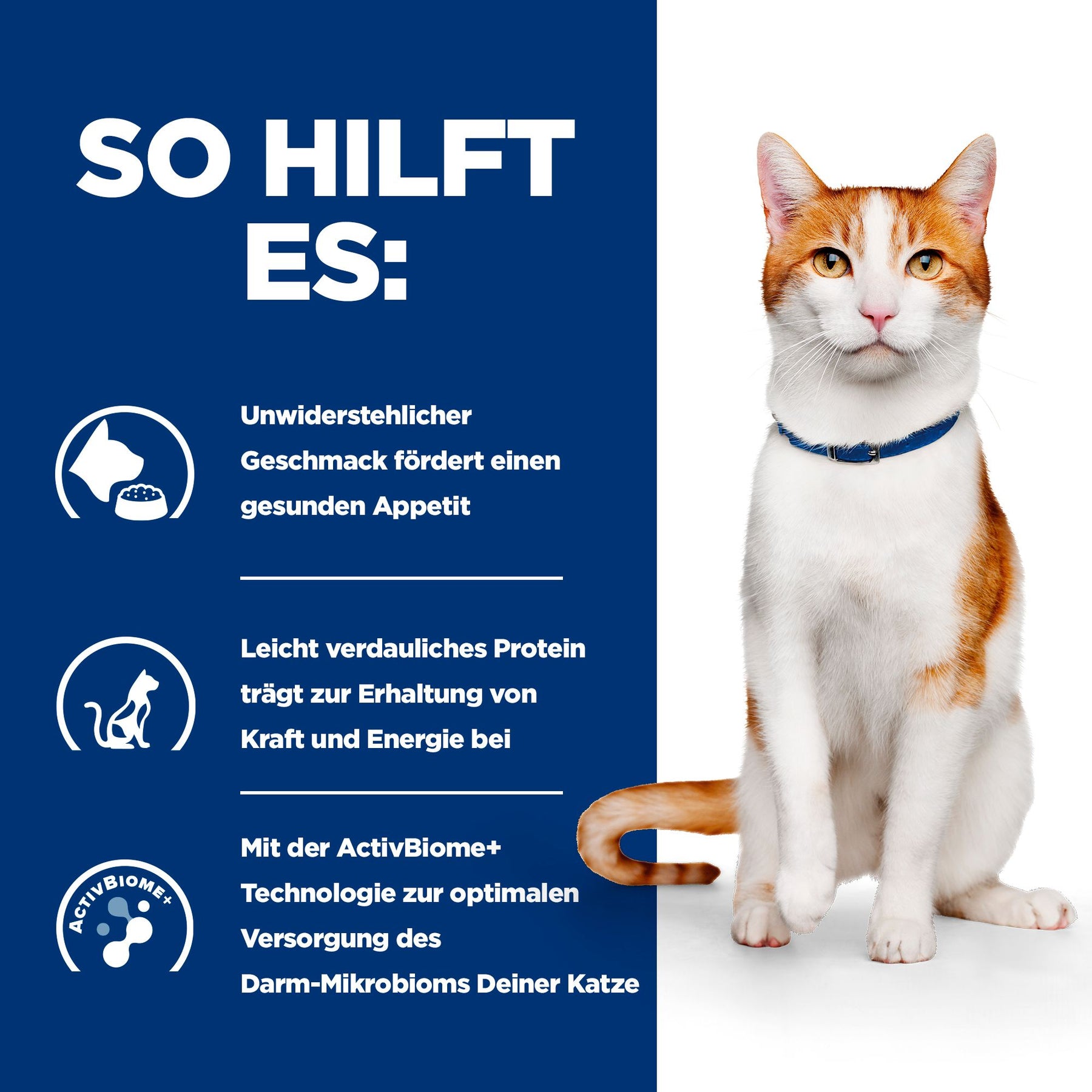 ON-Care Katzen Ragout Huhn & Gemüse Wie es hilft