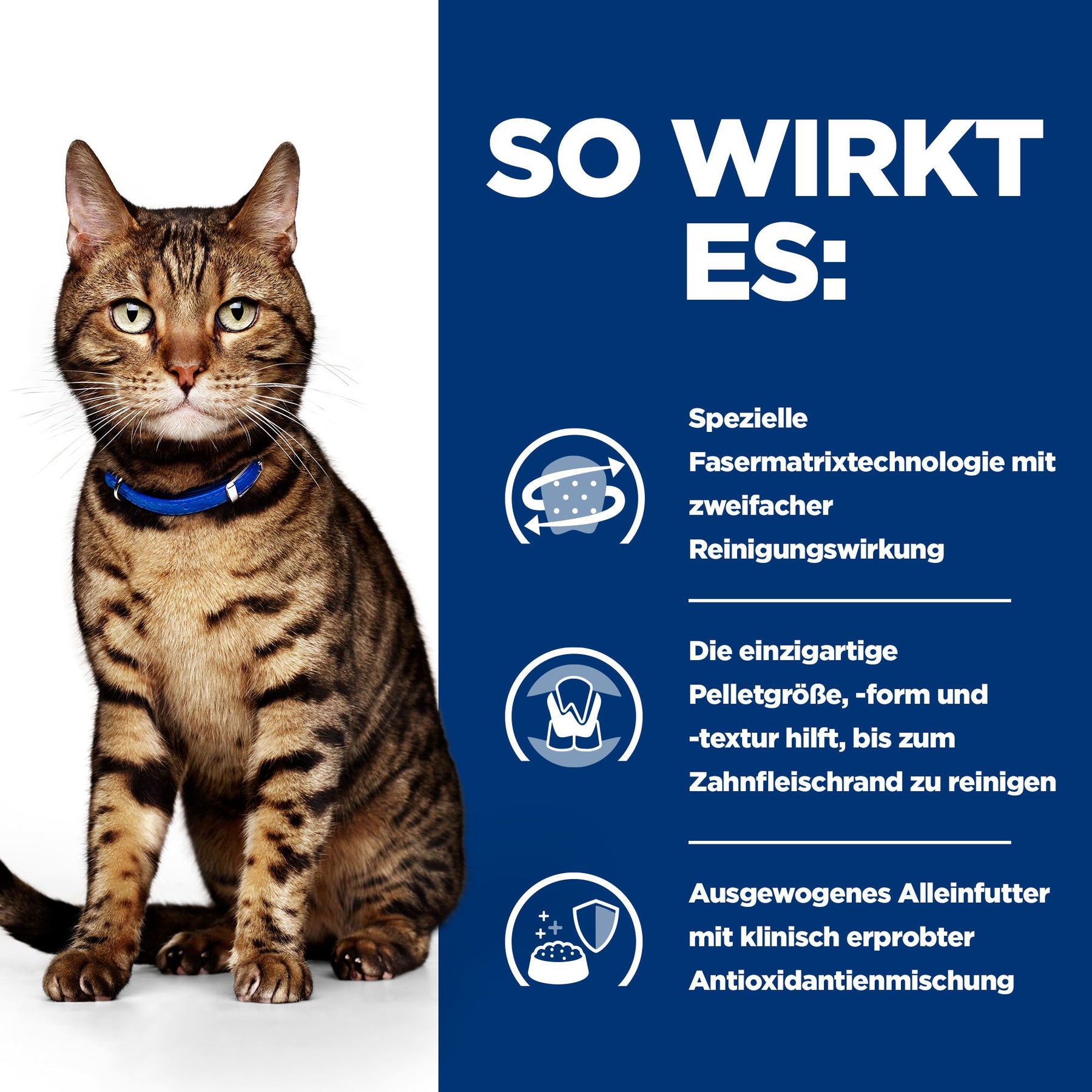 t/d Katzen Trockenfutter mit Huhn Wie es wirkt