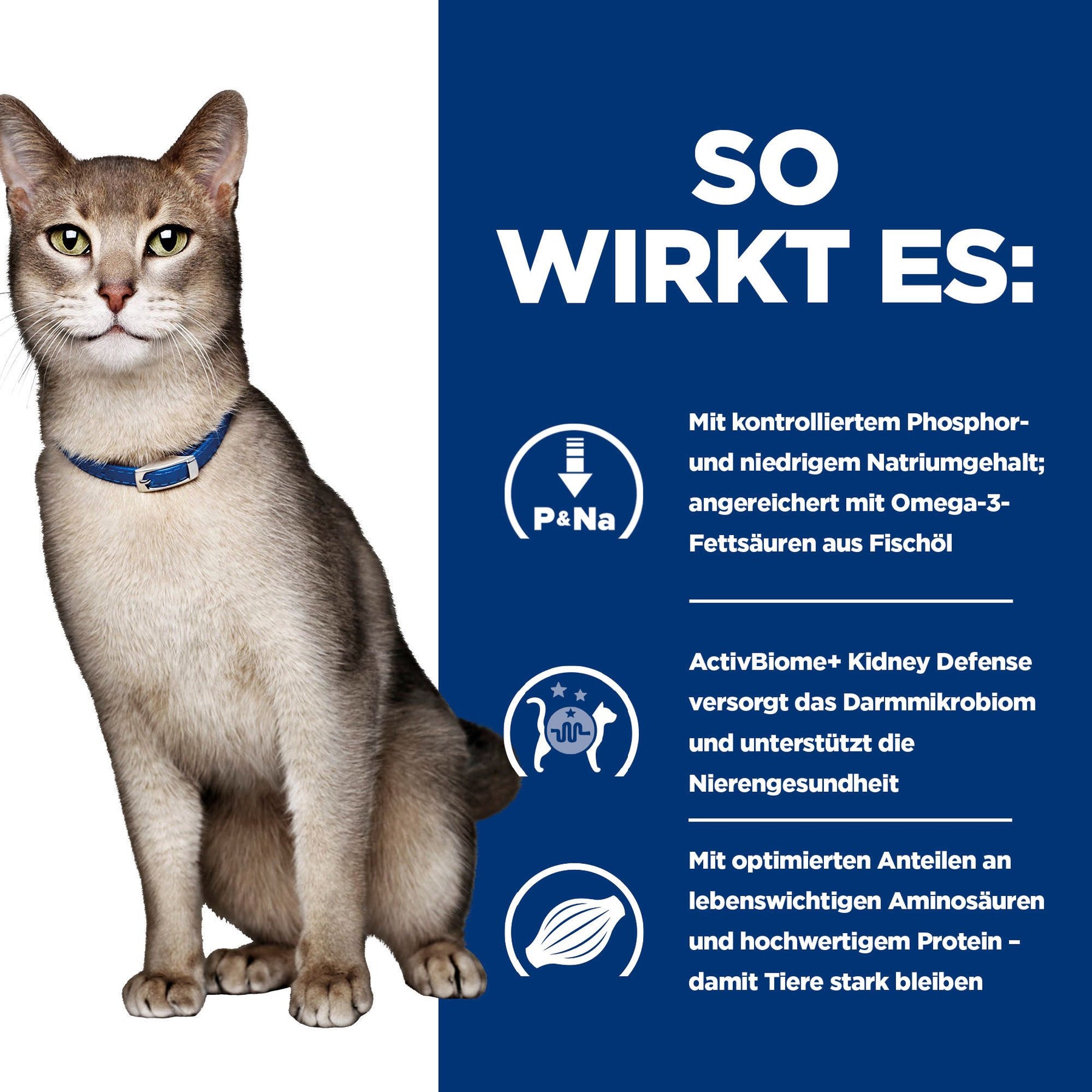 k/d Katzen Ragout Thunfisch & Gemüse Wie es wirkt