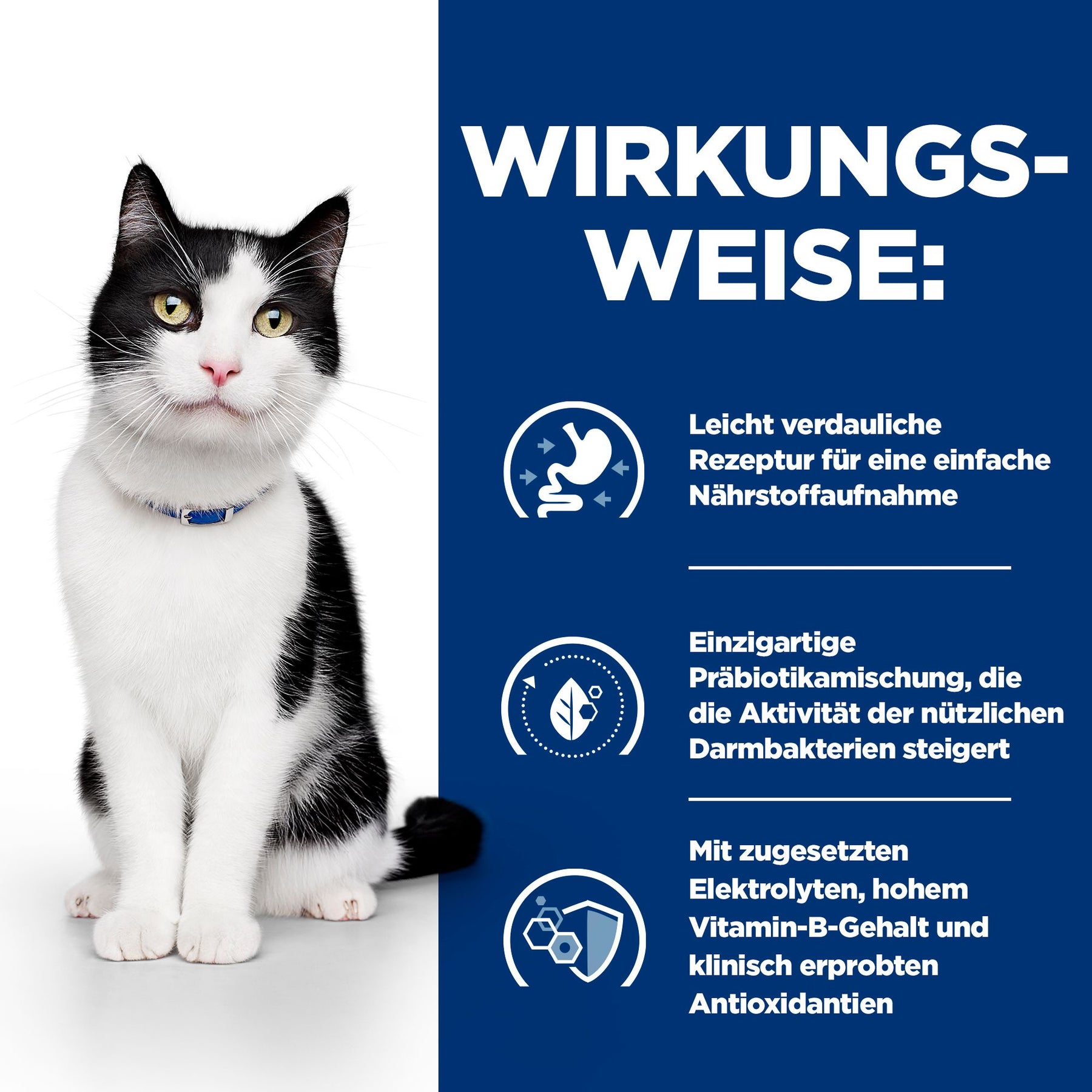i/d Nassfutter für Katzen mit Lachs Wie es wirkt