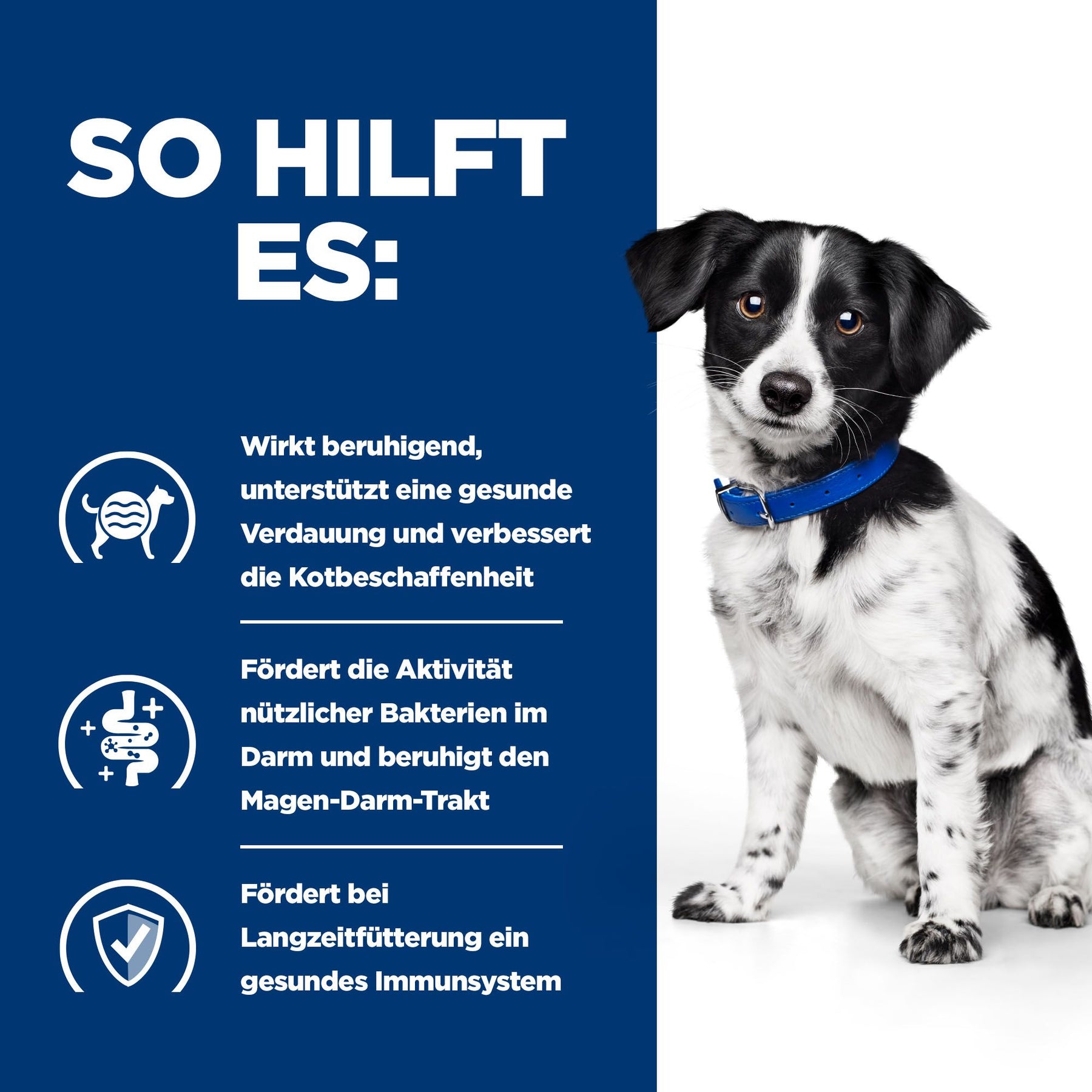 i/d Stress Mini Hunde Ragout Wie es hilft