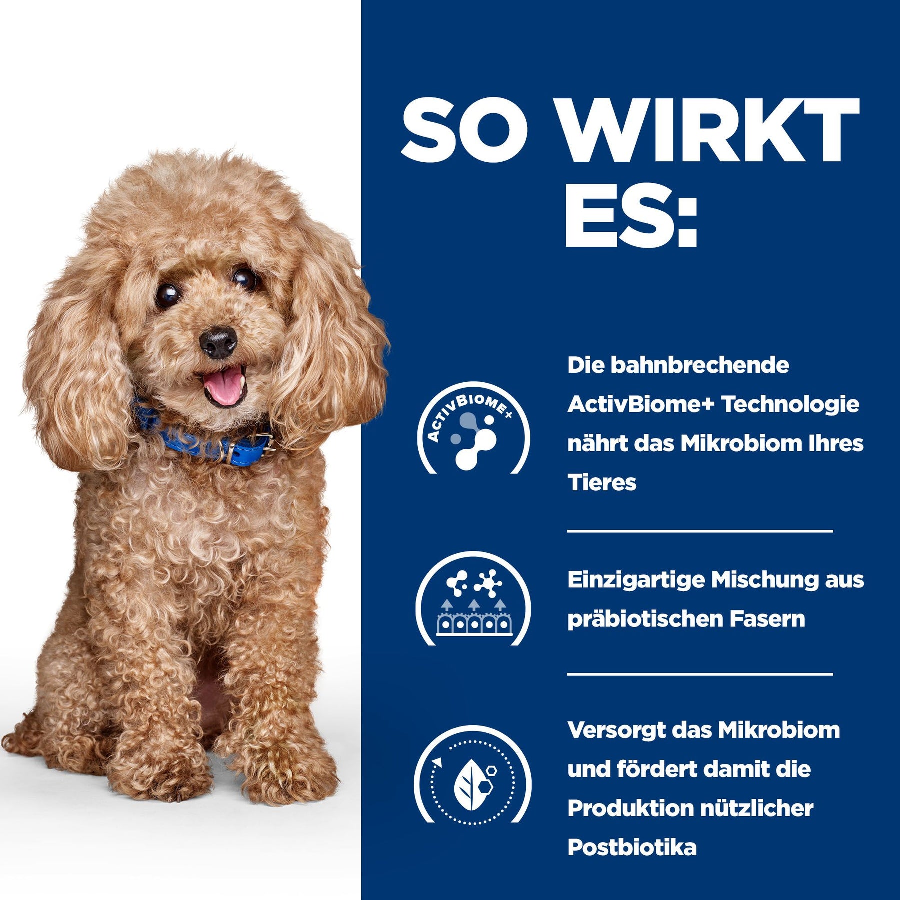Gastrointestinal Biome Mini Hundefutter mit Huhn Wie es wirkt