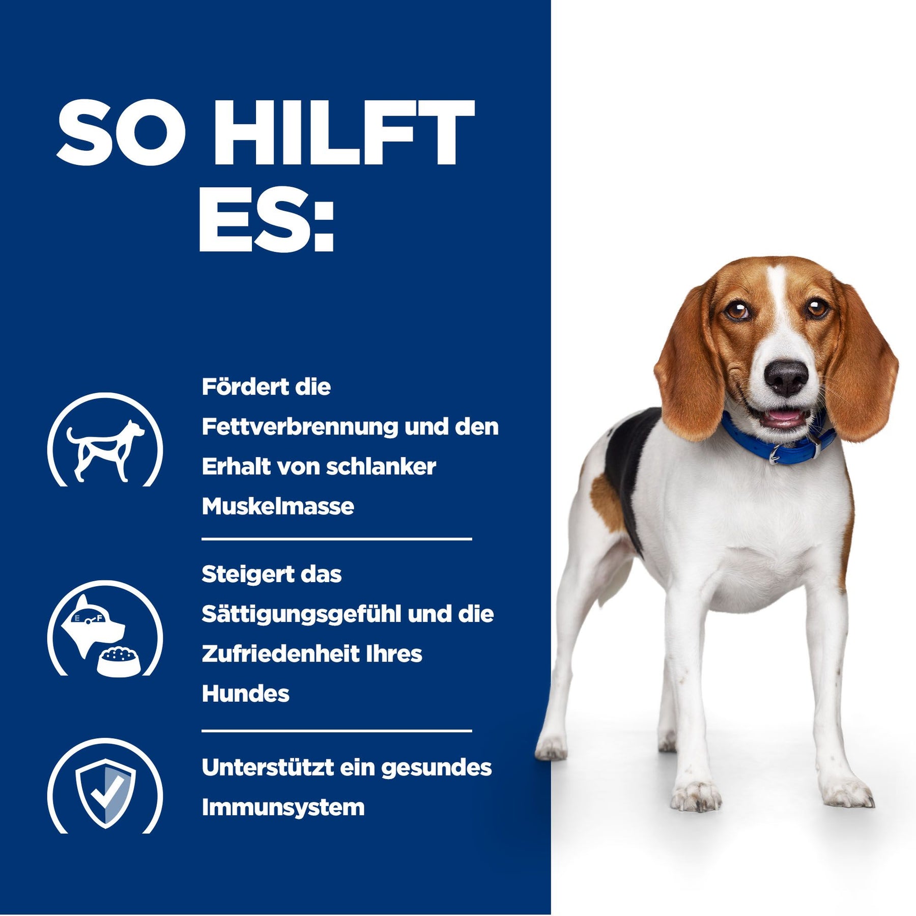 r/d Trockenfutter für Hunde mit Huhn Wie es hilft