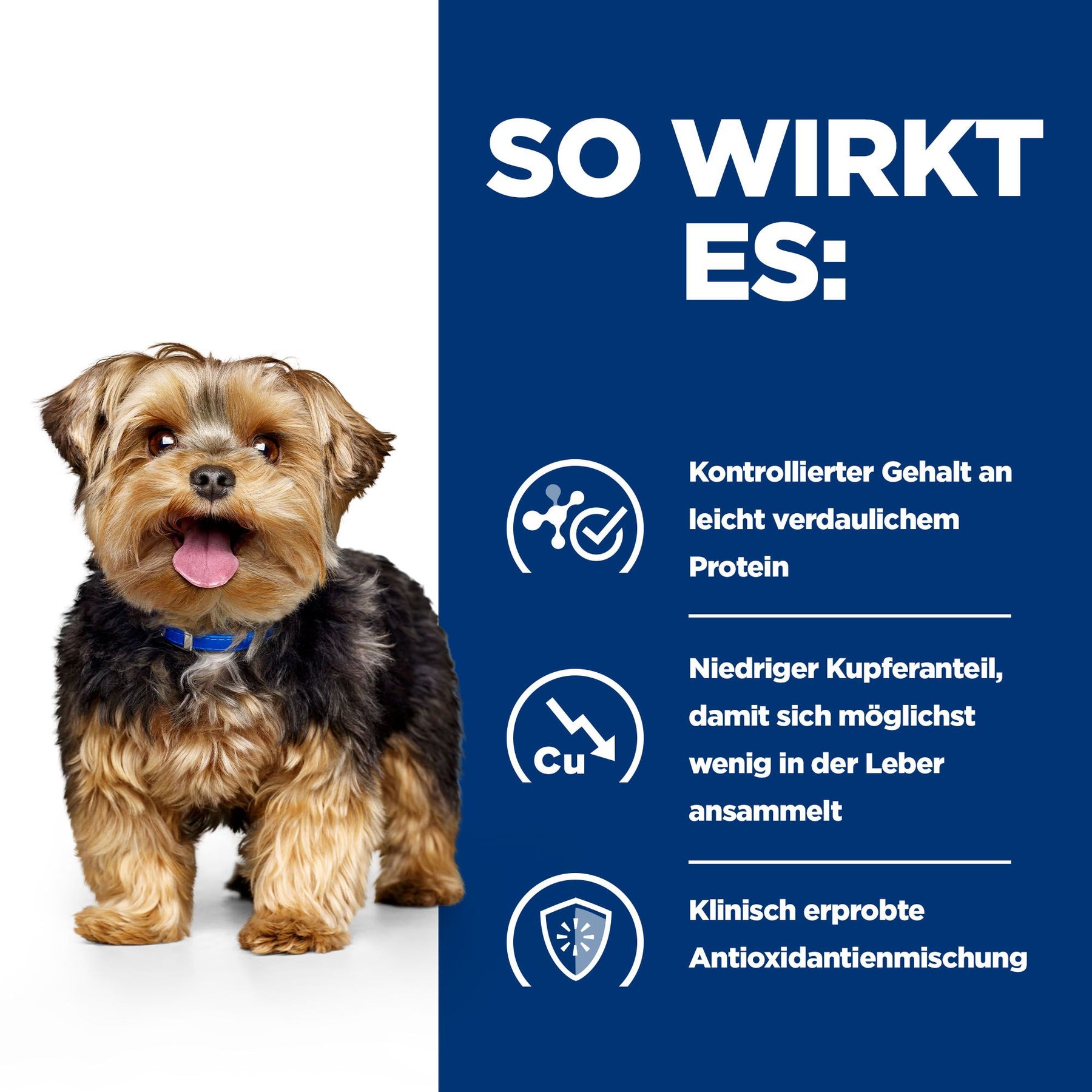 l/d Nassfutter für Hunde Original Wie es hilft