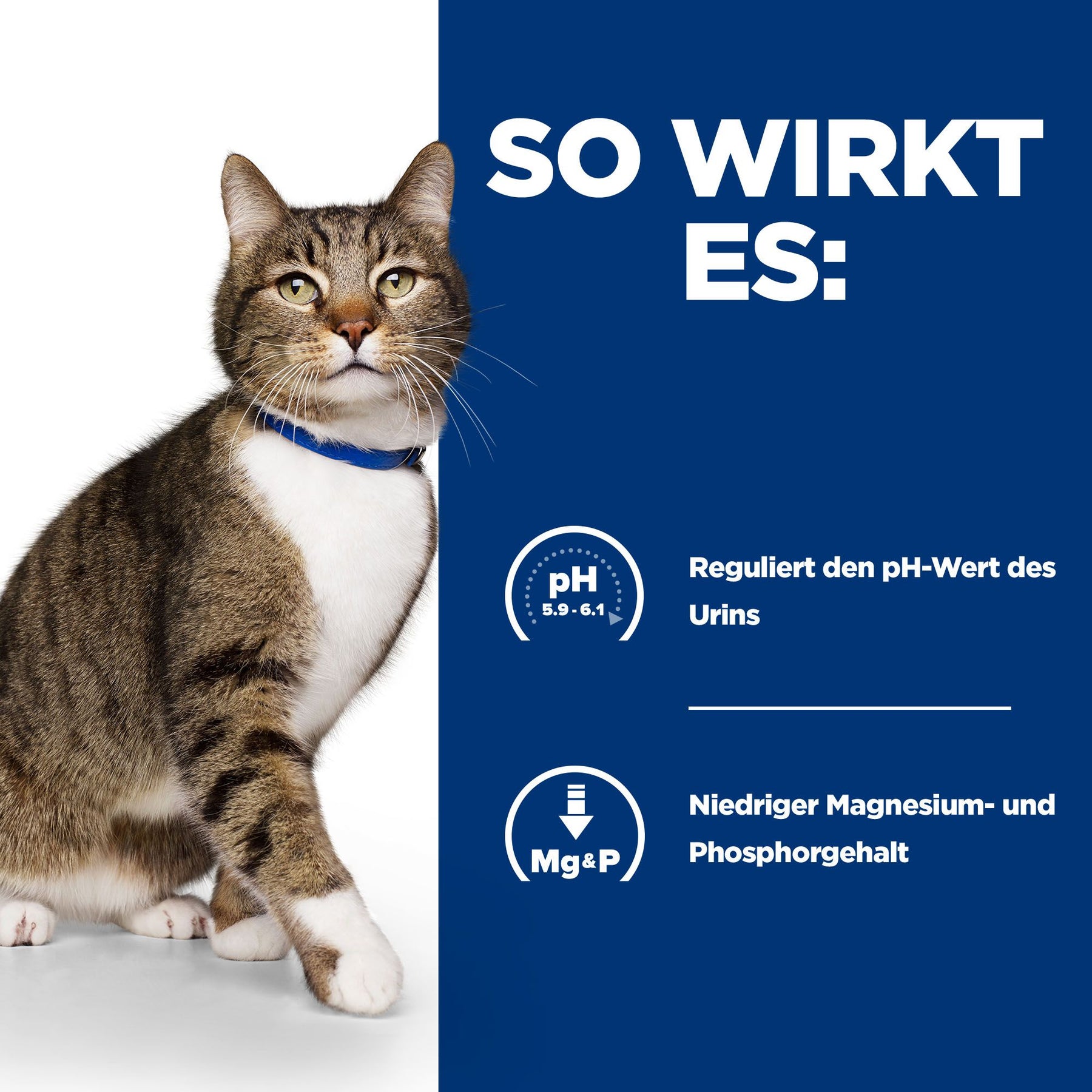 Hill's Prescription Diet s/d Katzenfutter mit Huhn