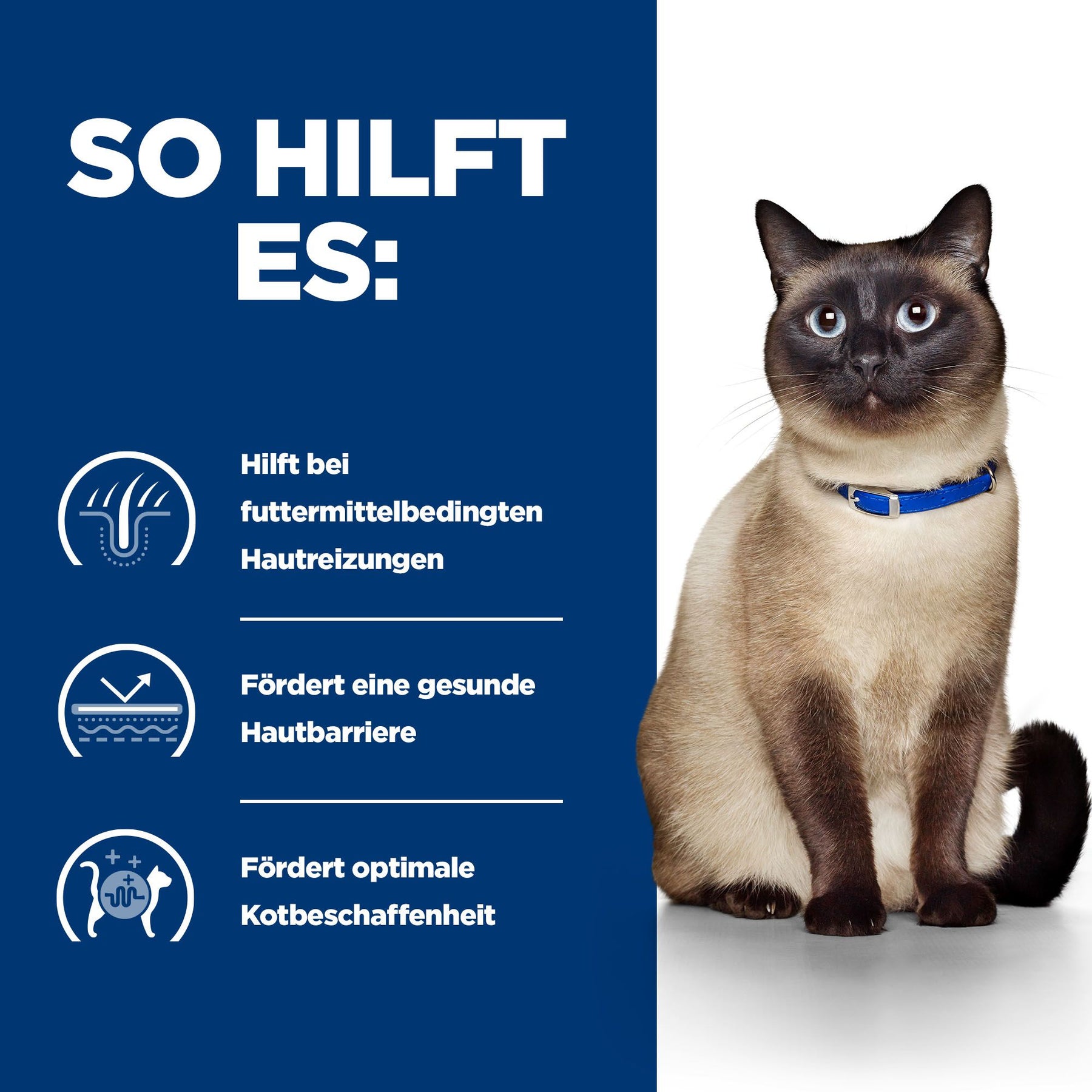 z/d Katzen Trockenfutter Original Wie es hilft