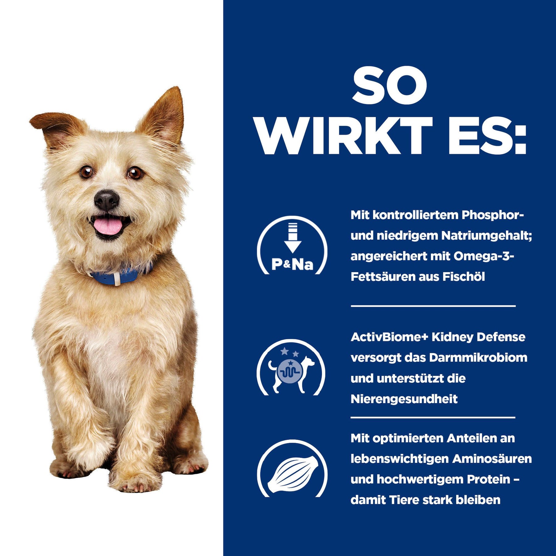 k/d Trockenfutter für Hunde Original Wie es wirkt