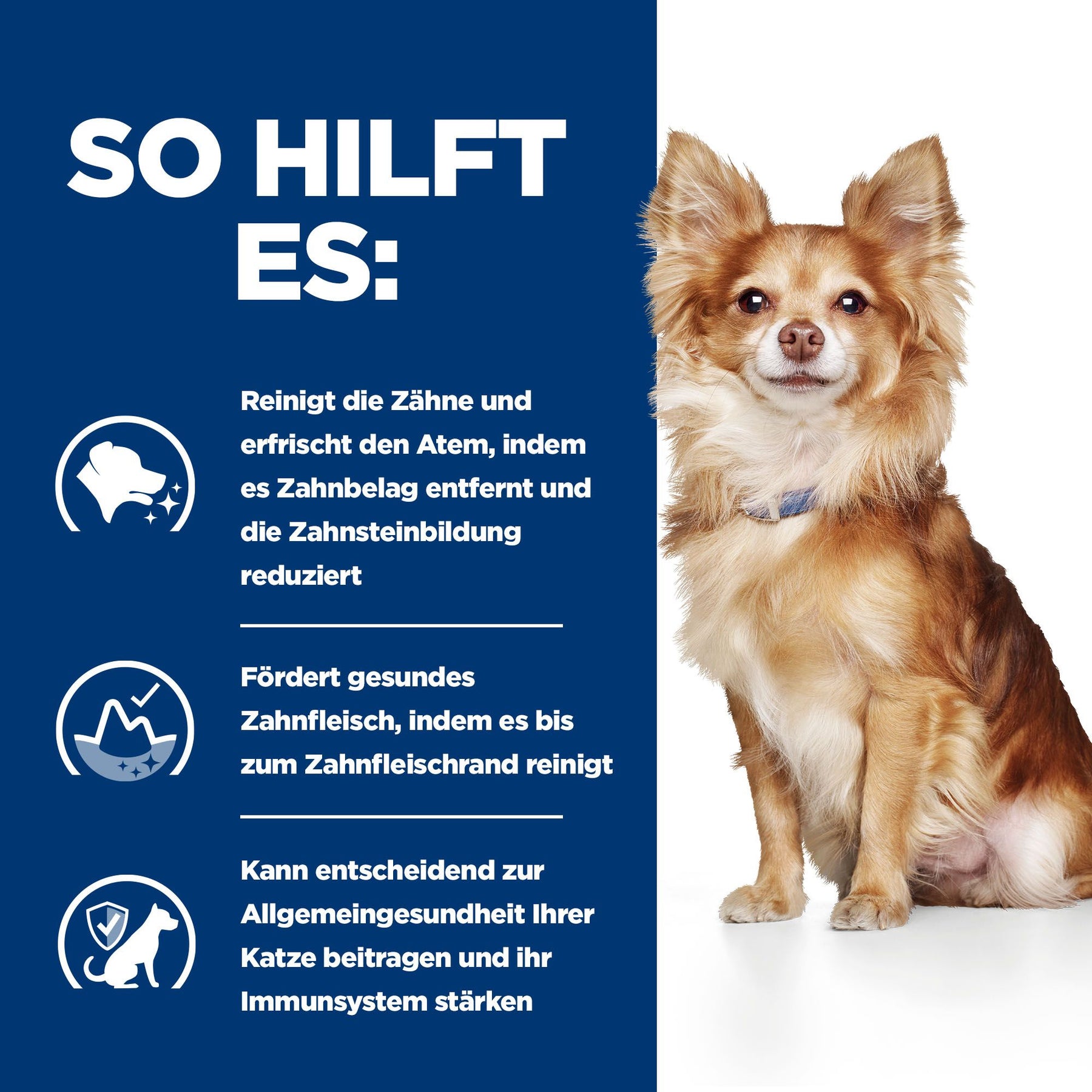 t/d Mini Hundefutter mit Huhn Wie es hilft
