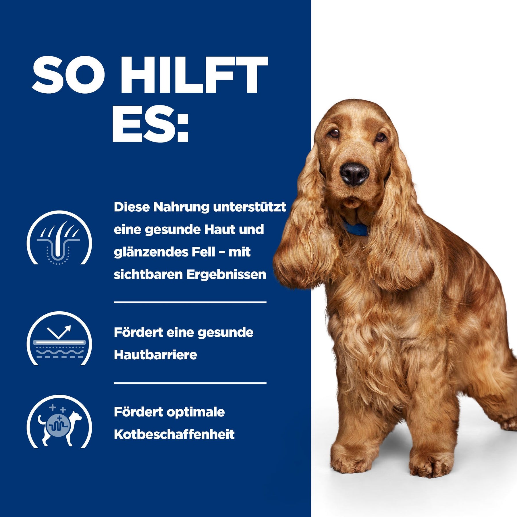 z/d Trockenfutter für Hunde Original Wie es hilft