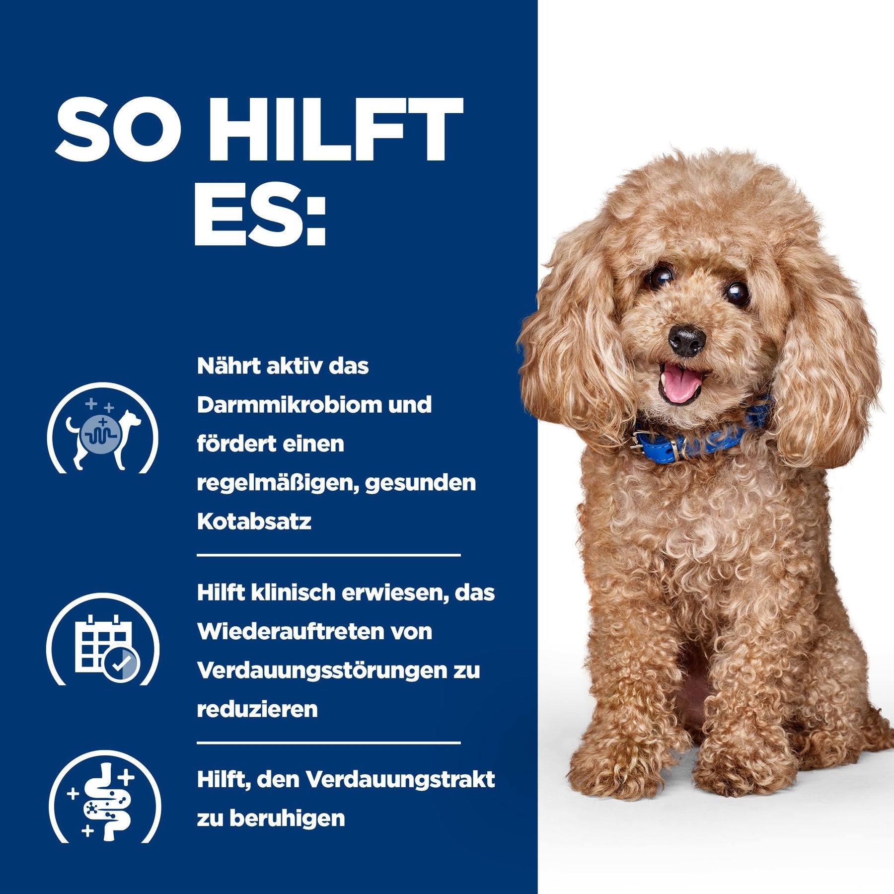 Gastrointestinal Biome Mini Hundefutter mit Huhn Wie es hilft