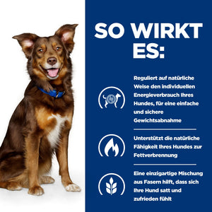 Metabolic Hunde Nassfutter mit Huhn Wie es hilft