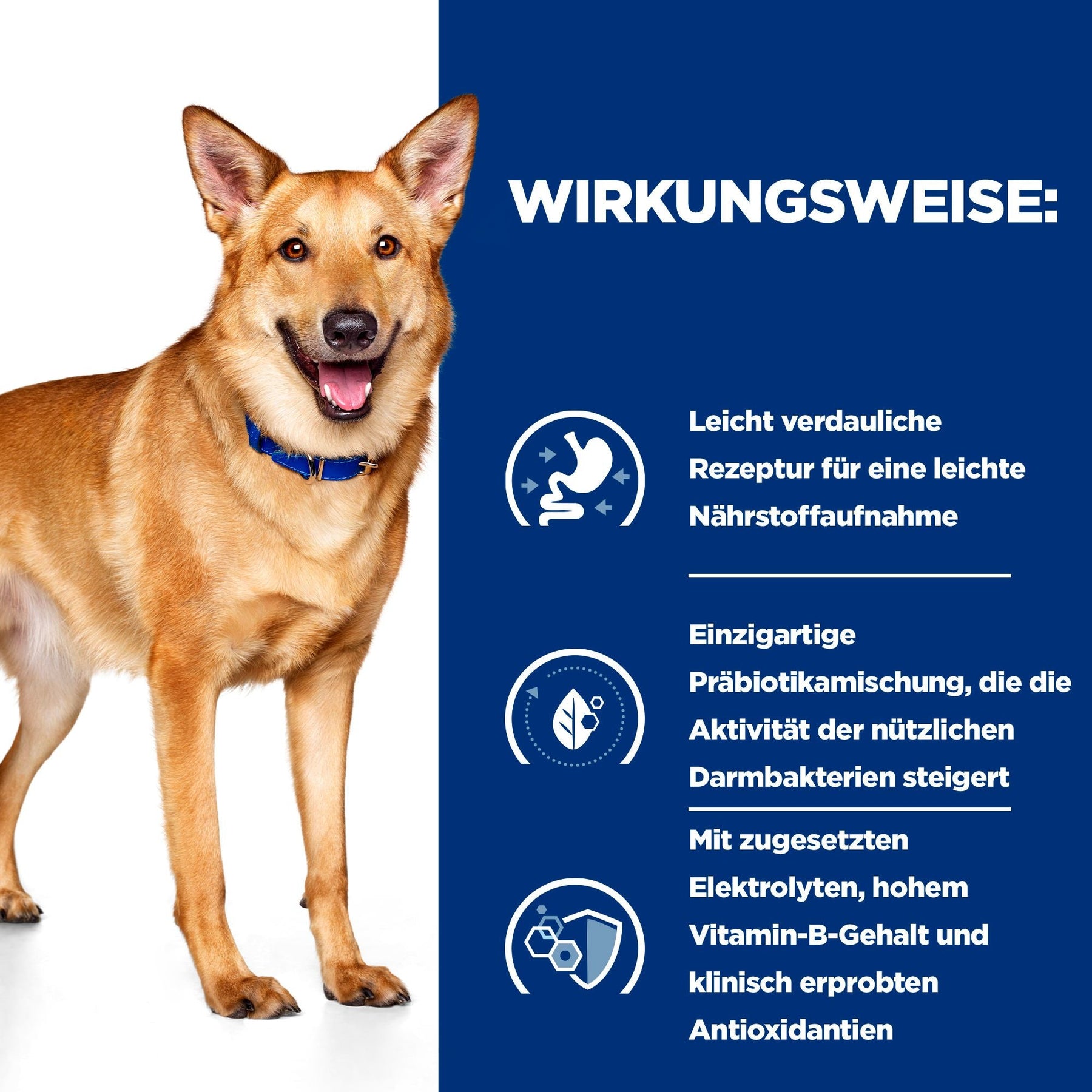 i/d Hundefutter How It Works