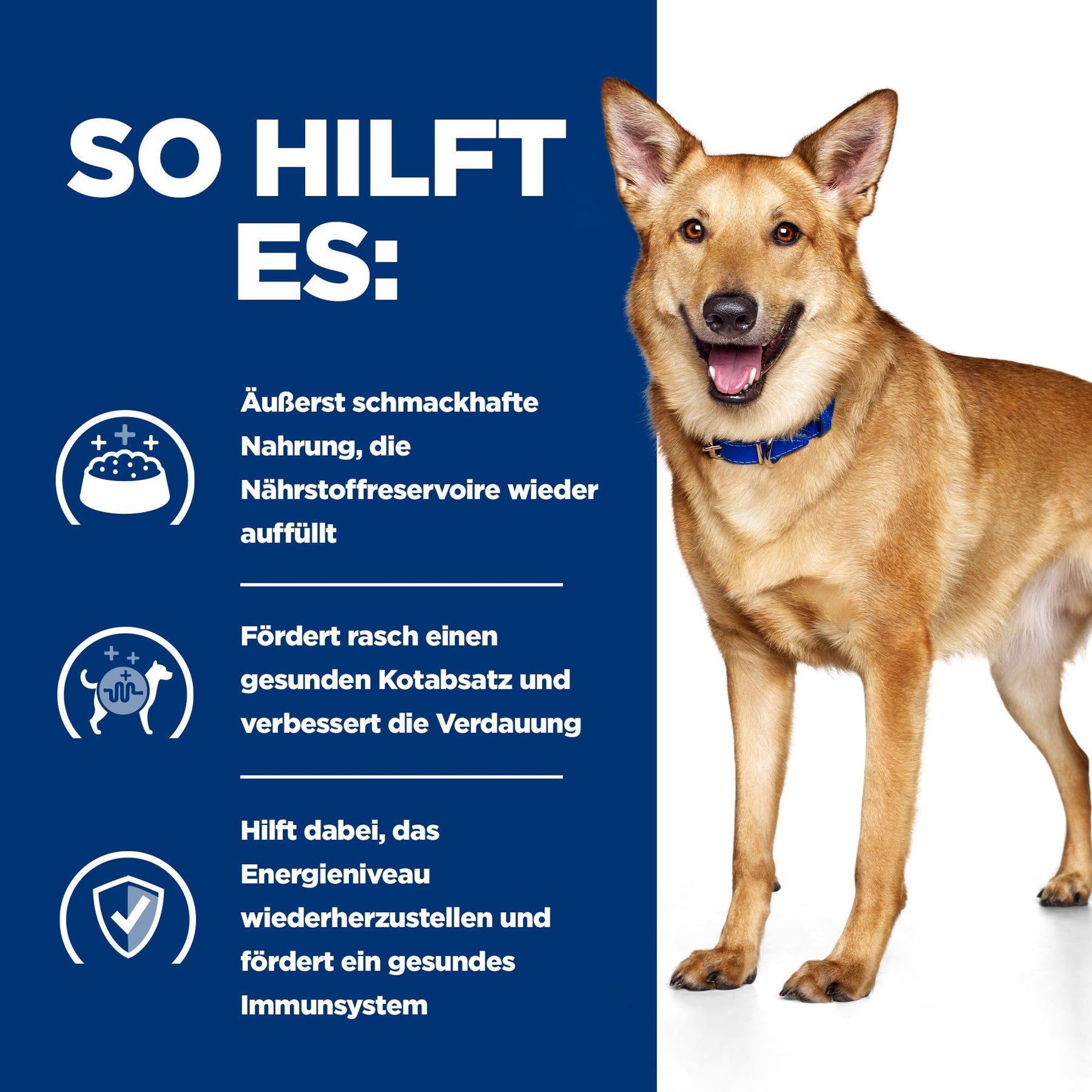 i/d Nassfutter für Hunde Truthahn Wie es hilft