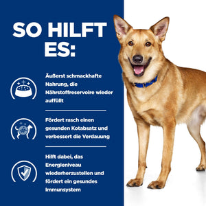 i/d Nassfutter für Hunde Truthahn Wie es hilft