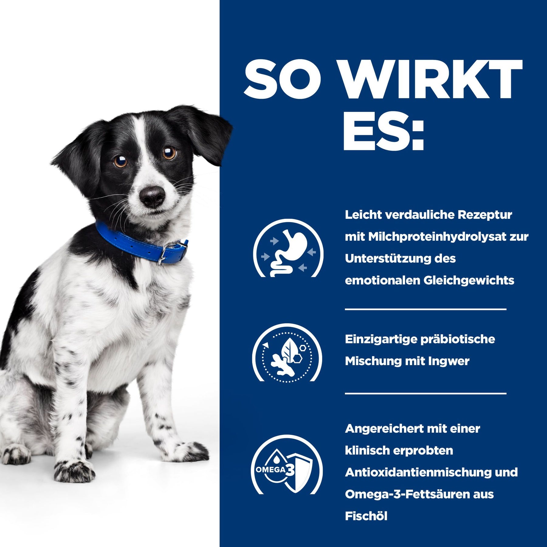 i/d Stress Mini Hunde Ragout Wie es wirkt
