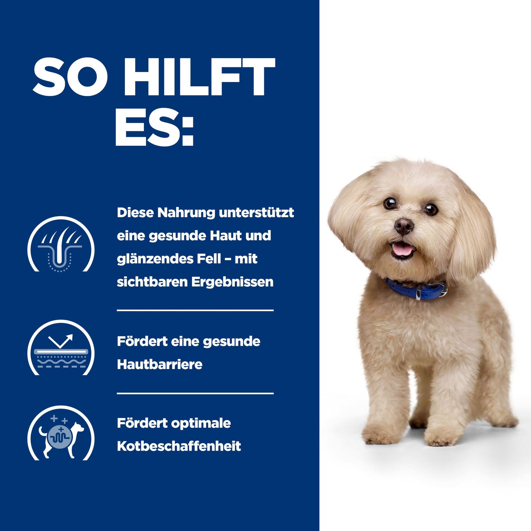 z/d Mini Hundefutter Original Wie es hilft