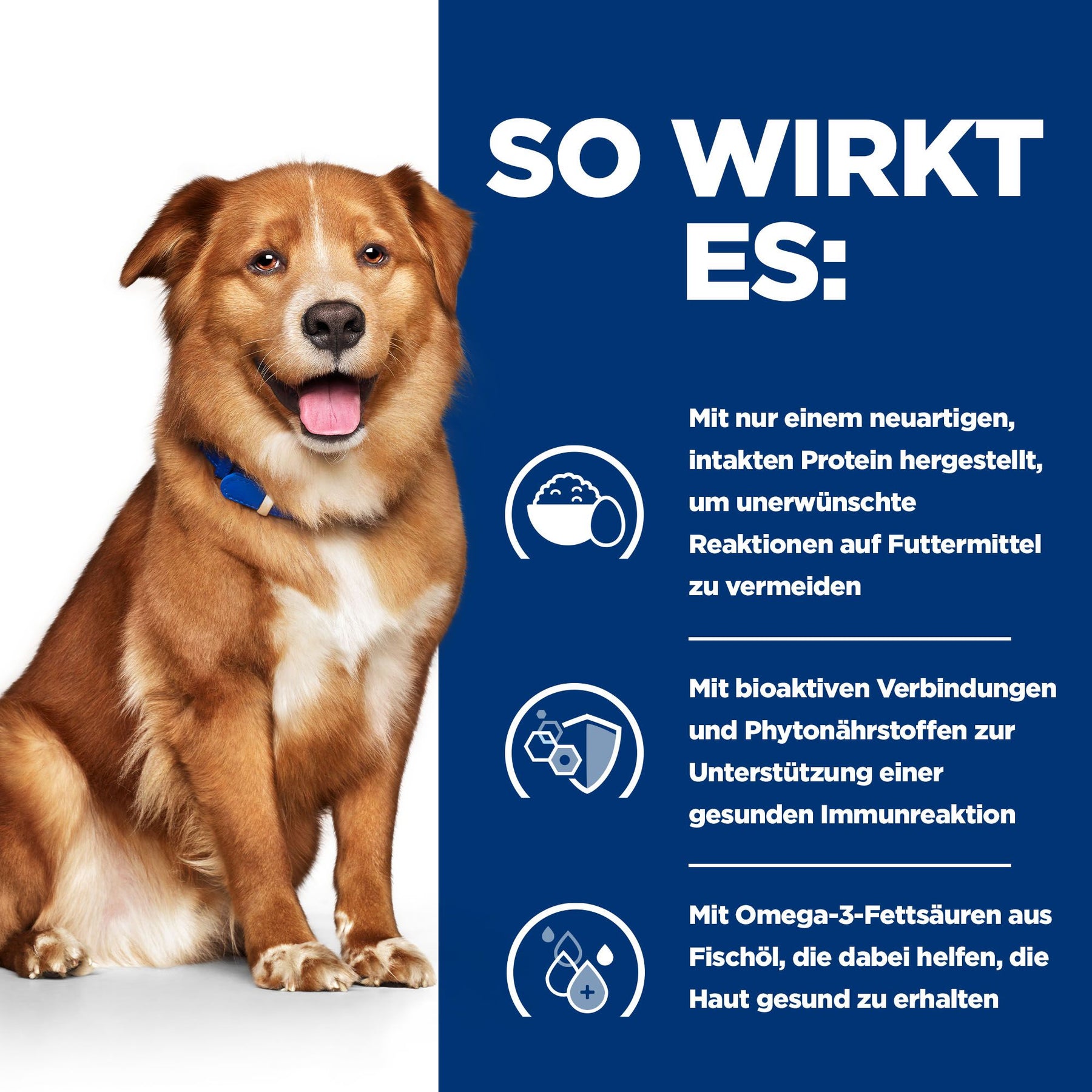 Derm Complete Hundefutter mit Ei Wie es wirkt