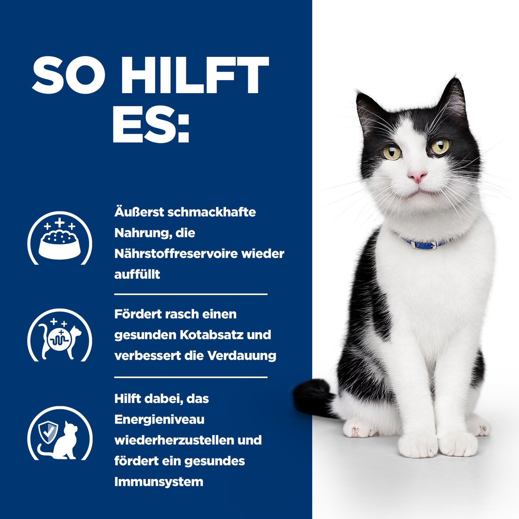 i/d Katzenfutter Wie es hilft