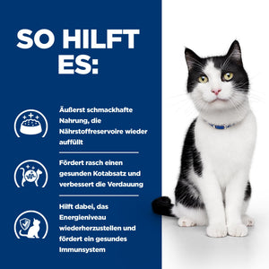i/d Katzenfutter Wie es hilft