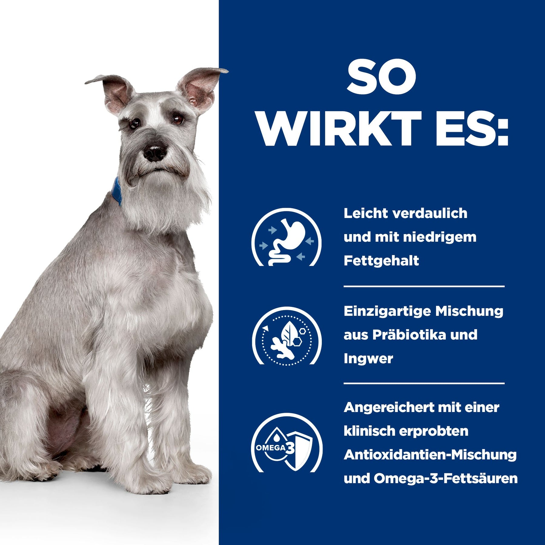 i/d Low Fat Original Hundefutter Wie es wirkt