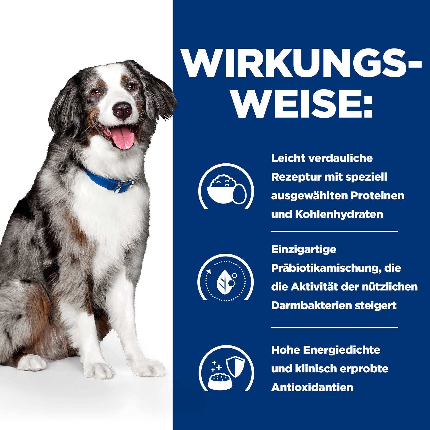 i/d Sensitive Hundefutter Ei & Reis Wie es wirkt