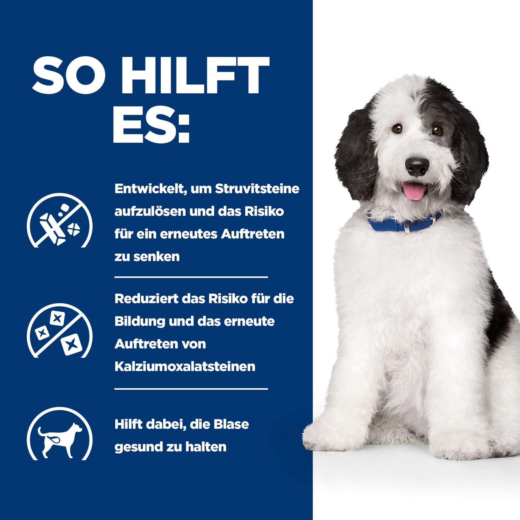 c/d Multicare Hunde Nassfutter Huhn Wie es hilft