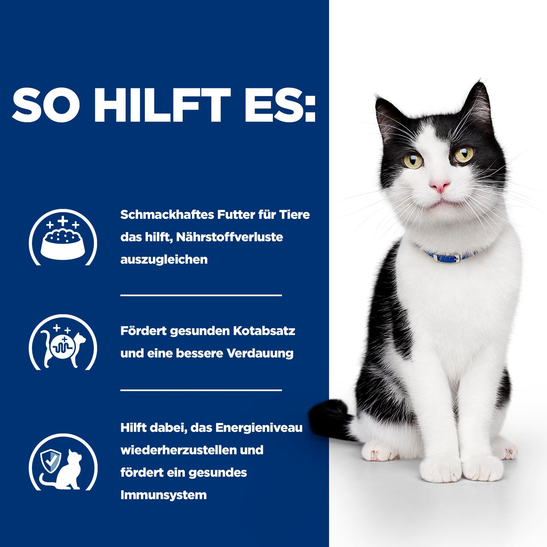 i/d Ragout für Katzen Wie es hilft